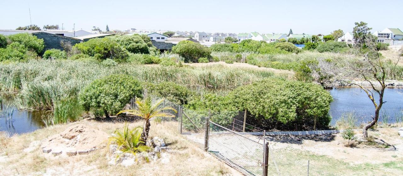 Red Bishop - Birds, Beach & Beauty Langebaan Exterior foto